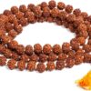 Rudraksha Mala